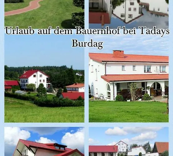 Atr Rejnard Tadaj